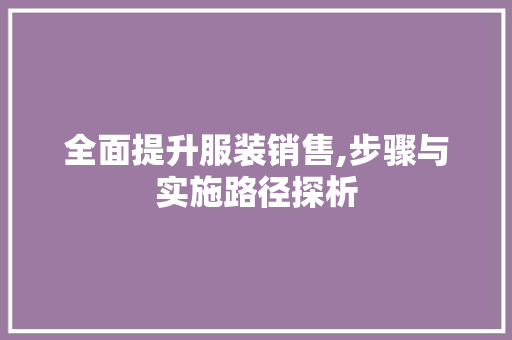 全面提升服装销售,步骤与实施路径探析