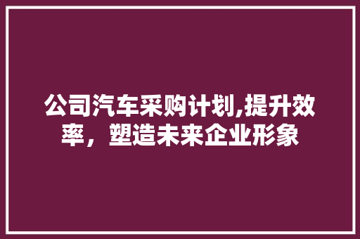 公司汽车采购计划,提升效率，塑造未来企业形象