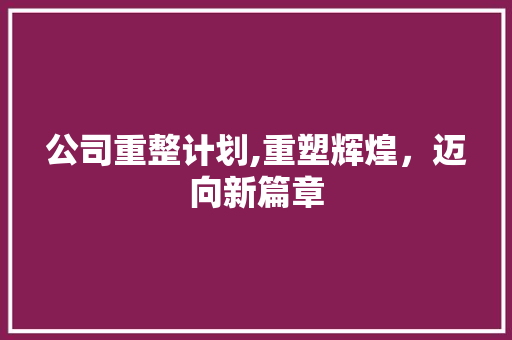 公司重整计划,重塑辉煌，迈向新篇章