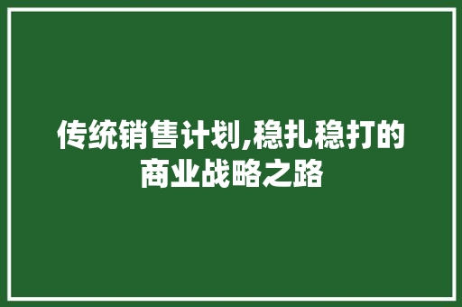传统销售计划,稳扎稳打的商业战略之路