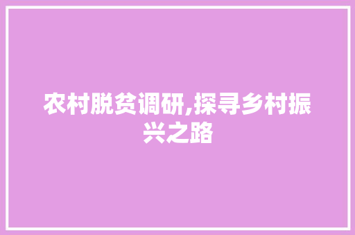 农村脱贫调研,探寻乡村振兴之路