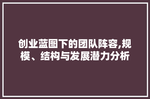 创业蓝图下的团队阵容,规模、结构与发展潜力分析