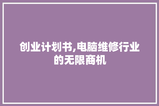 创业计划书,电脑维修行业的无限商机