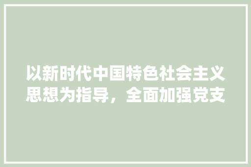 以新时代中国特色社会主义思想为指导，全面加强党支部建设_XX支部推进计划书