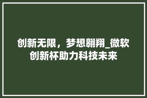 创新无限，梦想翱翔_微软创新杯助力科技未来