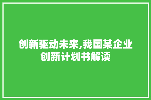 创新驱动未来,我国某企业创新计划书解读
