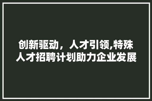 创新驱动，人才引领,特殊人才招聘计划助力企业发展