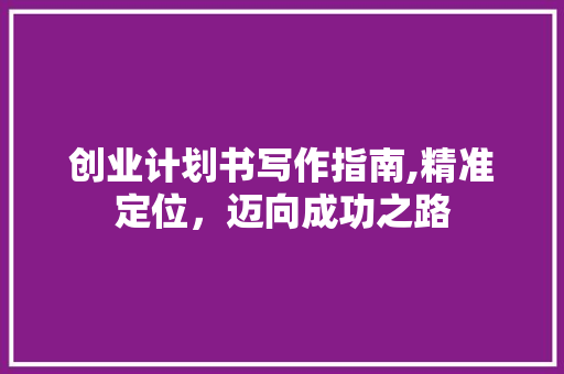 创业计划书写作指南,精准定位，迈向成功之路