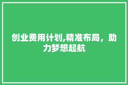 创业费用计划,精准布局，助力梦想起航