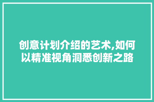 创意计划介绍的艺术,如何以精准视角洞悉创新之路