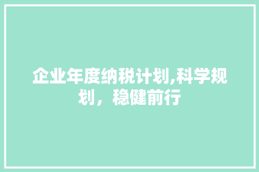 企业年度纳税计划,科学规划，稳健前行