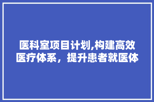 医科室项目计划,构建高效医疗体系，提升患者就医体验