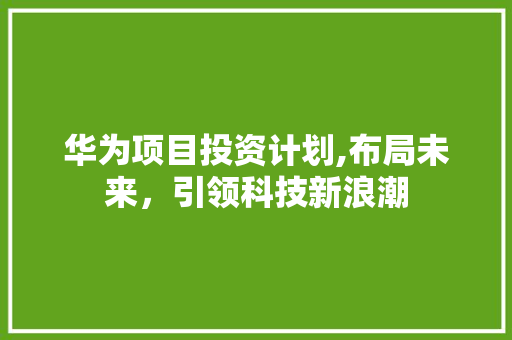 华为项目投资计划,布局未来，引领科技新浪潮