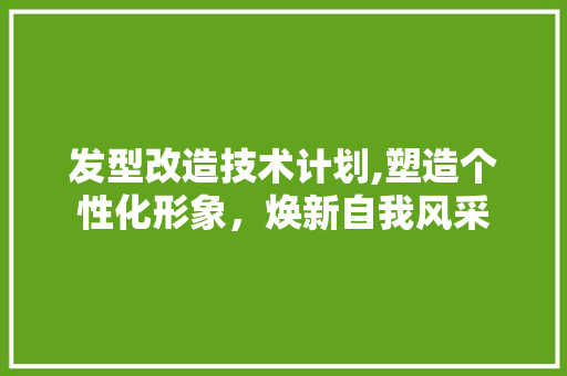 发型改造技术计划,塑造个性化形象，焕新自我风采