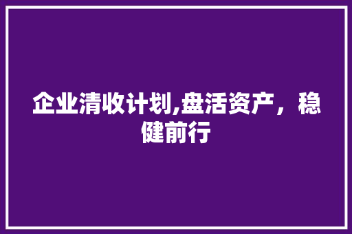 企业清收计划,盘活资产，稳健前行