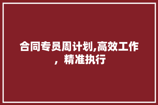 合同专员周计划,高效工作，精准执行