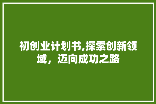 初创业计划书,探索创新领域，迈向成功之路
