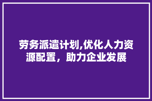 劳务派遣计划,优化人力资源配置，助力企业发展