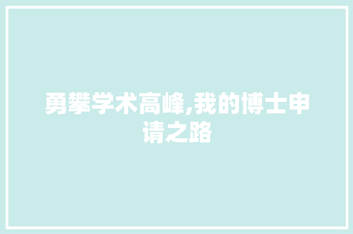 勇攀学术高峰,我的博士申请之路