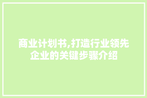 商业计划书,打造行业领先企业的关键步骤介绍