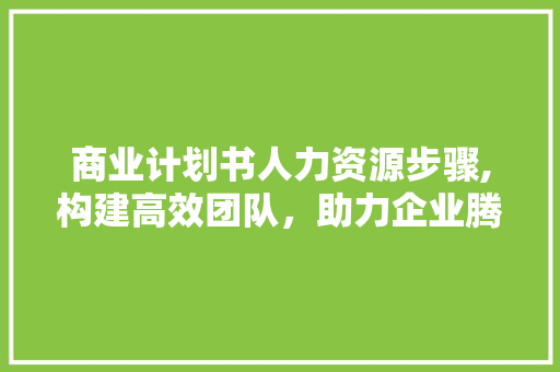 商业计划书人力资源步骤,构建高效团队，助力企业腾飞