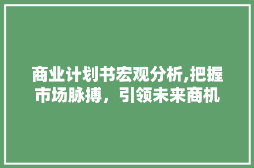 商业计划书宏观分析,把握市场脉搏，引领未来商机