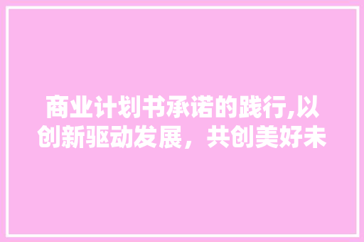 商业计划书承诺的践行,以创新驱动发展，共创美好未来