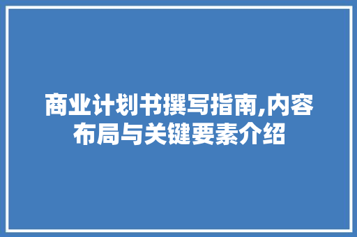 商业计划书撰写指南,内容布局与关键要素介绍 英语单词
