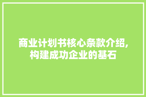 商业计划书核心条款介绍,构建成功企业的基石
