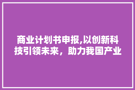 商业计划书申报,以创新科技引领未来，助力我国产业升级