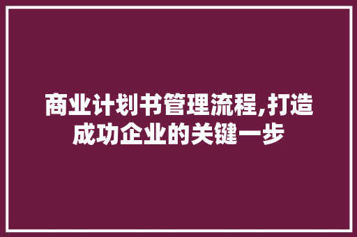 商业计划书管理流程,打造成功企业的关键一步