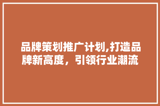 品牌策划推广计划,打造品牌新高度，引领行业潮流