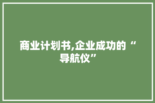 商业计划书,企业成功的“导航仪”
