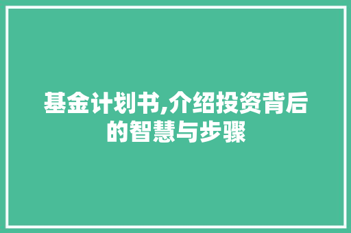 基金计划书,介绍投资背后的智慧与步骤