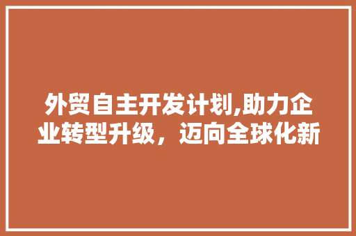 外贸自主开发计划,助力企业转型升级，迈向全球化新高峰