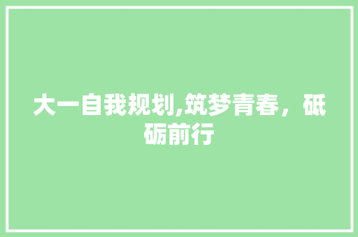 大一自我规划,筑梦青春，砥砺前行