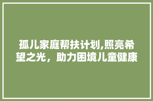 孤儿家庭帮扶计划,照亮希望之光，助力困境儿童健康成长 成语汇编
