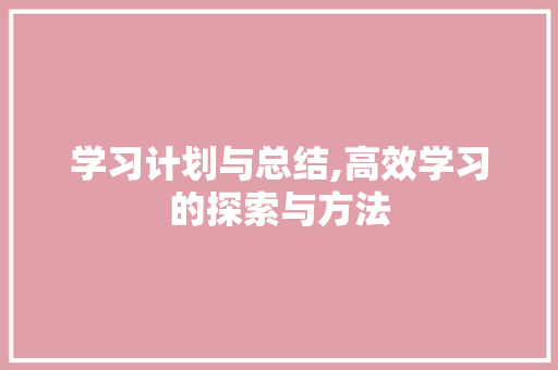 学习计划与总结,高效学习的探索与方法