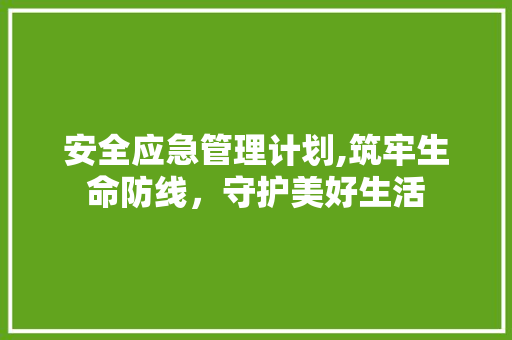 安全应急管理计划,筑牢生命防线，守护美好生活