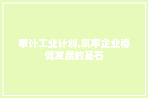 审计工业计划,筑牢企业稳健发展的基石