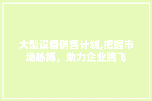 大型设备销售计划,把握市场脉搏，助力企业腾飞