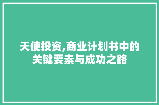 天使投资,商业计划书中的关键要素与成功之路