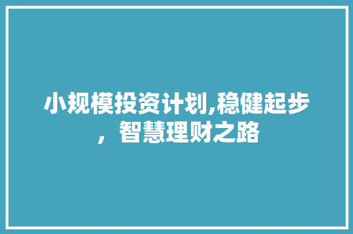 小规模投资计划,稳健起步，智慧理财之路