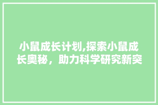 小鼠成长计划,探索小鼠成长奥秘，助力科学研究新突破