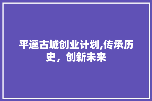 平遥古城创业计划,传承历史，创新未来