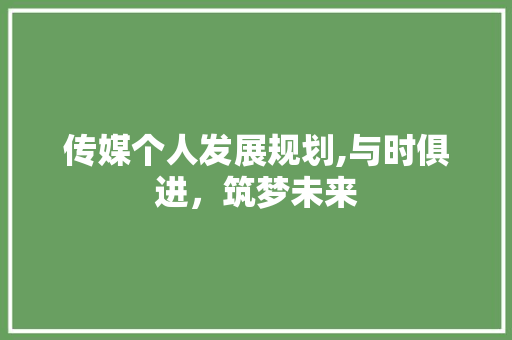 传媒个人发展规划,与时俱进，筑梦未来