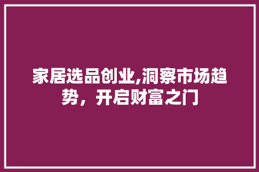 家居选品创业,洞察市场趋势，开启财富之门