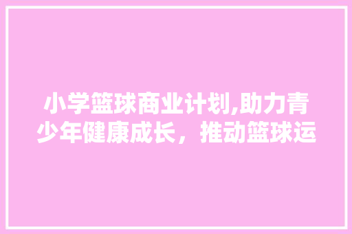 小学篮球商业计划,助力青少年健康成长，推动篮球运动普及