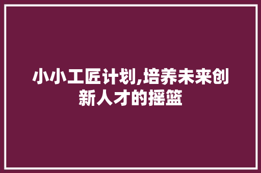 小小工匠计划,培养未来创新人才的摇篮