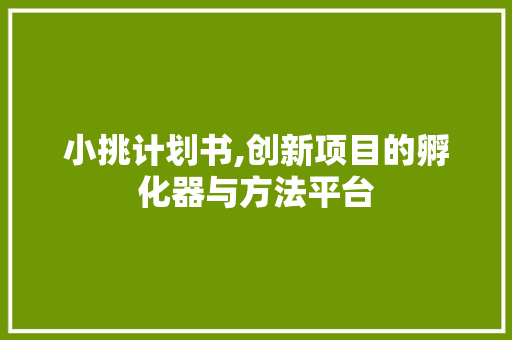 小挑计划书,创新项目的孵化器与方法平台